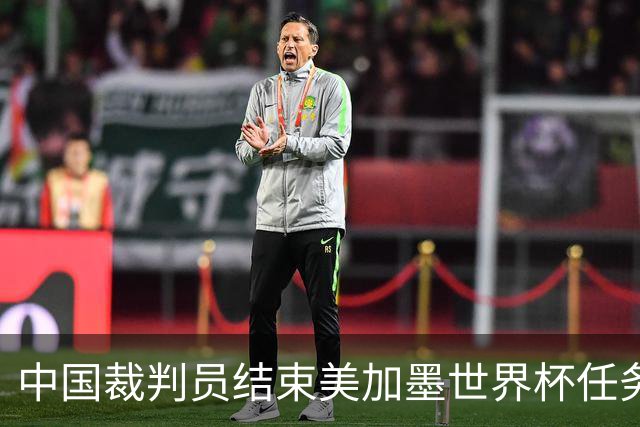 中国裁判员结束美加墨世界杯任务，马宁：“只要中国足球有需要，我一定会全力以赴！”