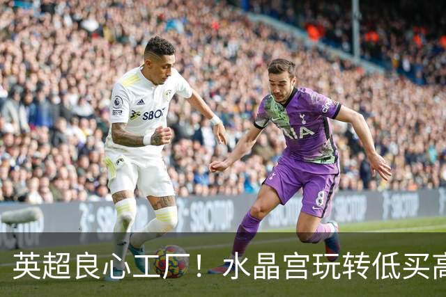 英超良心工厂！水晶宫玩转低买高卖，四笔交易狂赚上亿元无人能及